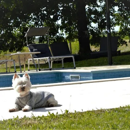 山林小屋 Le Shedeaux